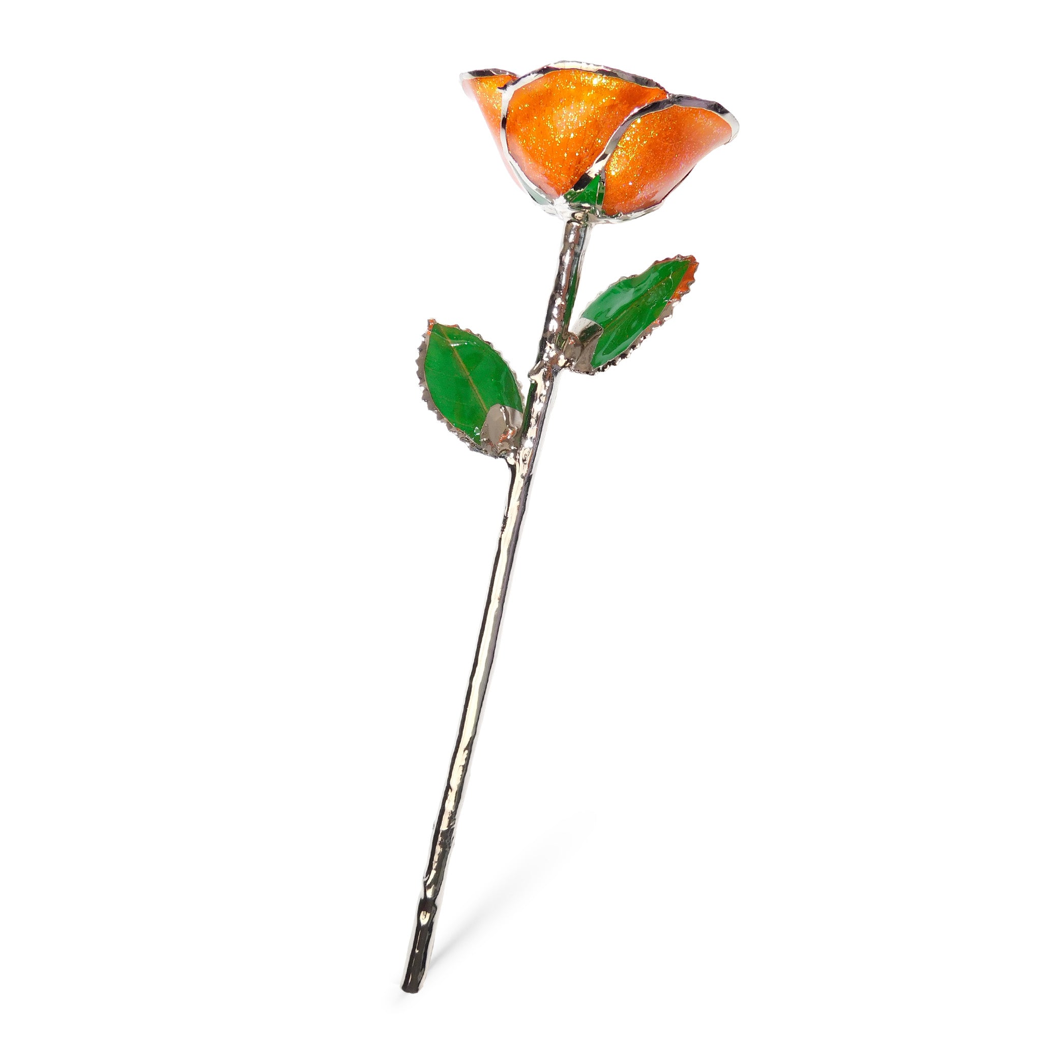 Platinum Forever Rose - Orange You Pretty