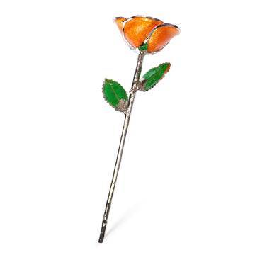 Platinum Forever Rose - Orange You Pretty