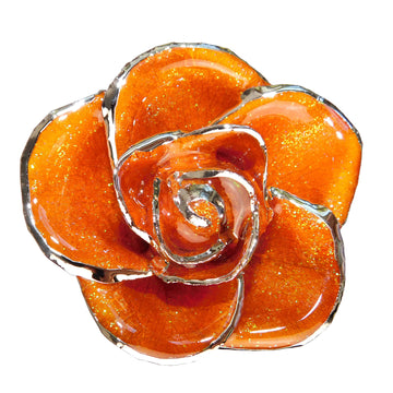 Platinum Forever Rose - Orange You Pretty