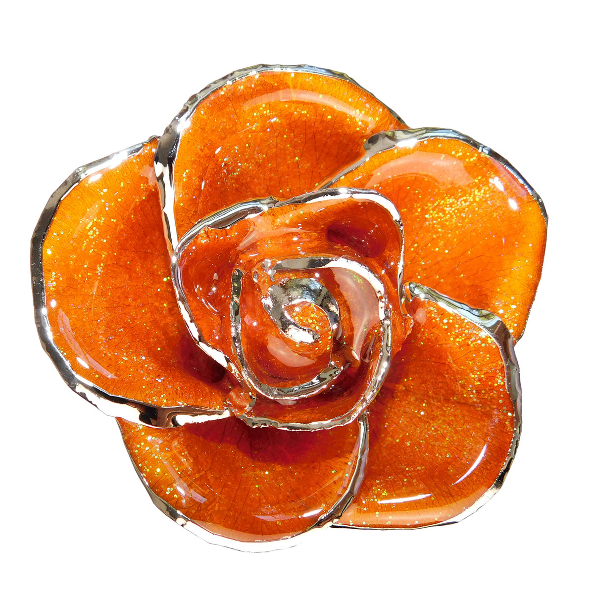 Custom Enchanted Rose - Platinum Trim Orange You Pretty
