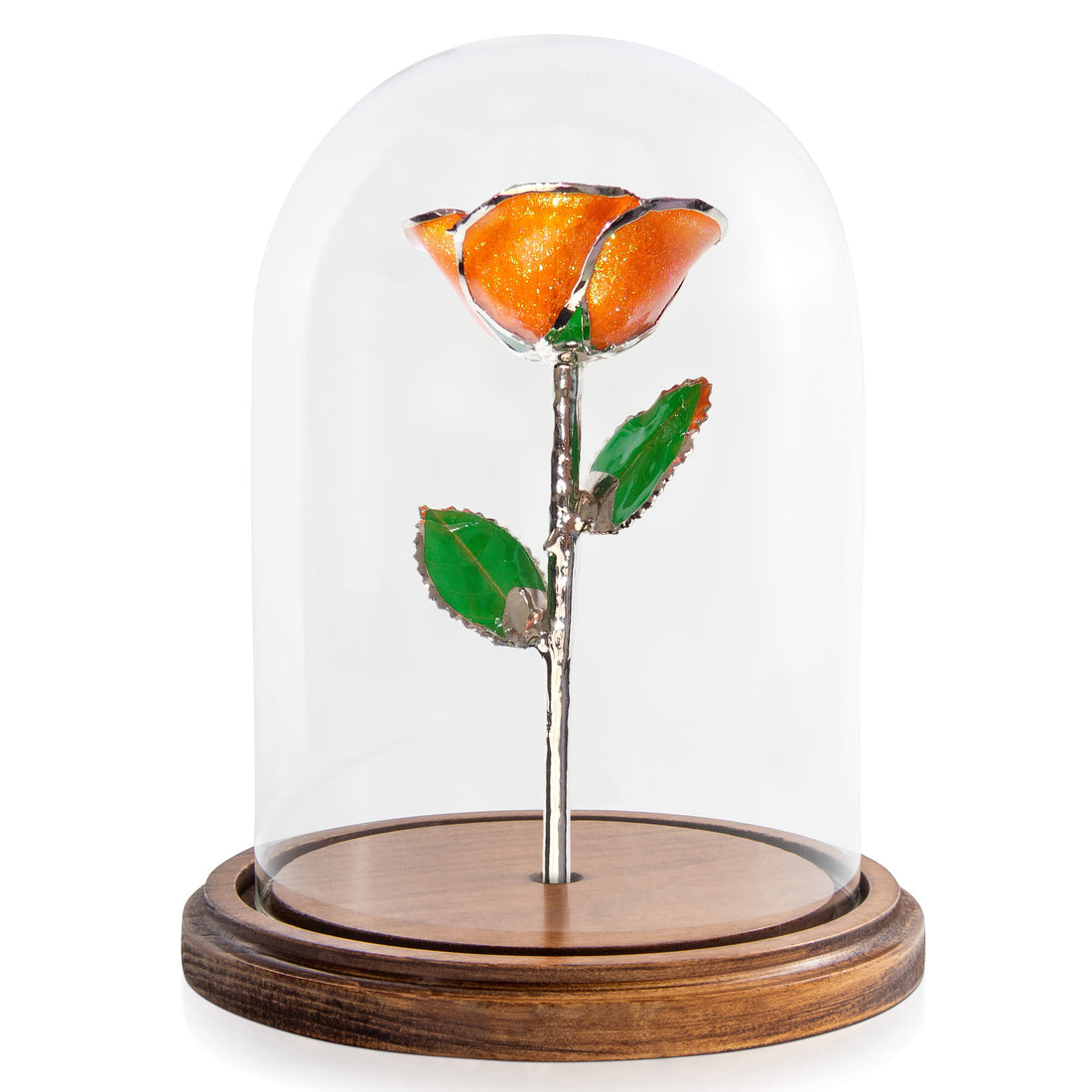 Custom Enchanted Rose - Platinum Trim Orange You Pretty