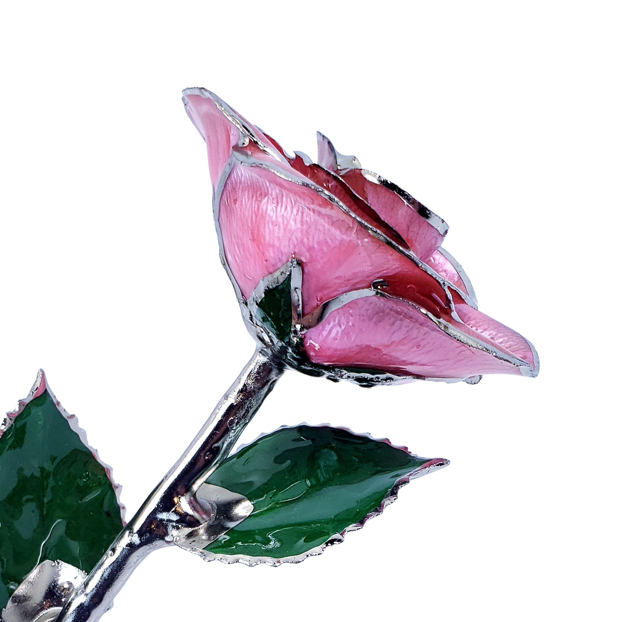Pink Forever Roses Platinum Forever Rose - Pink - The Forever Rose