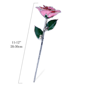 Platinum Forever Rose - Pink