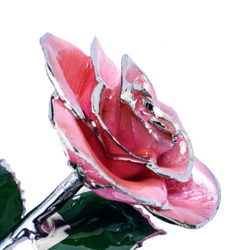 Platinum Forever Rose - Pink