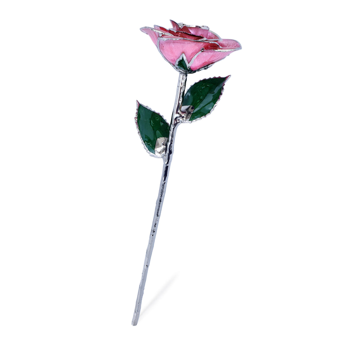Platinum Forever Rose - Pink