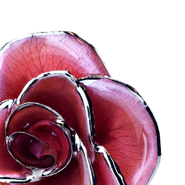 Platinum Forever Rose - Pink