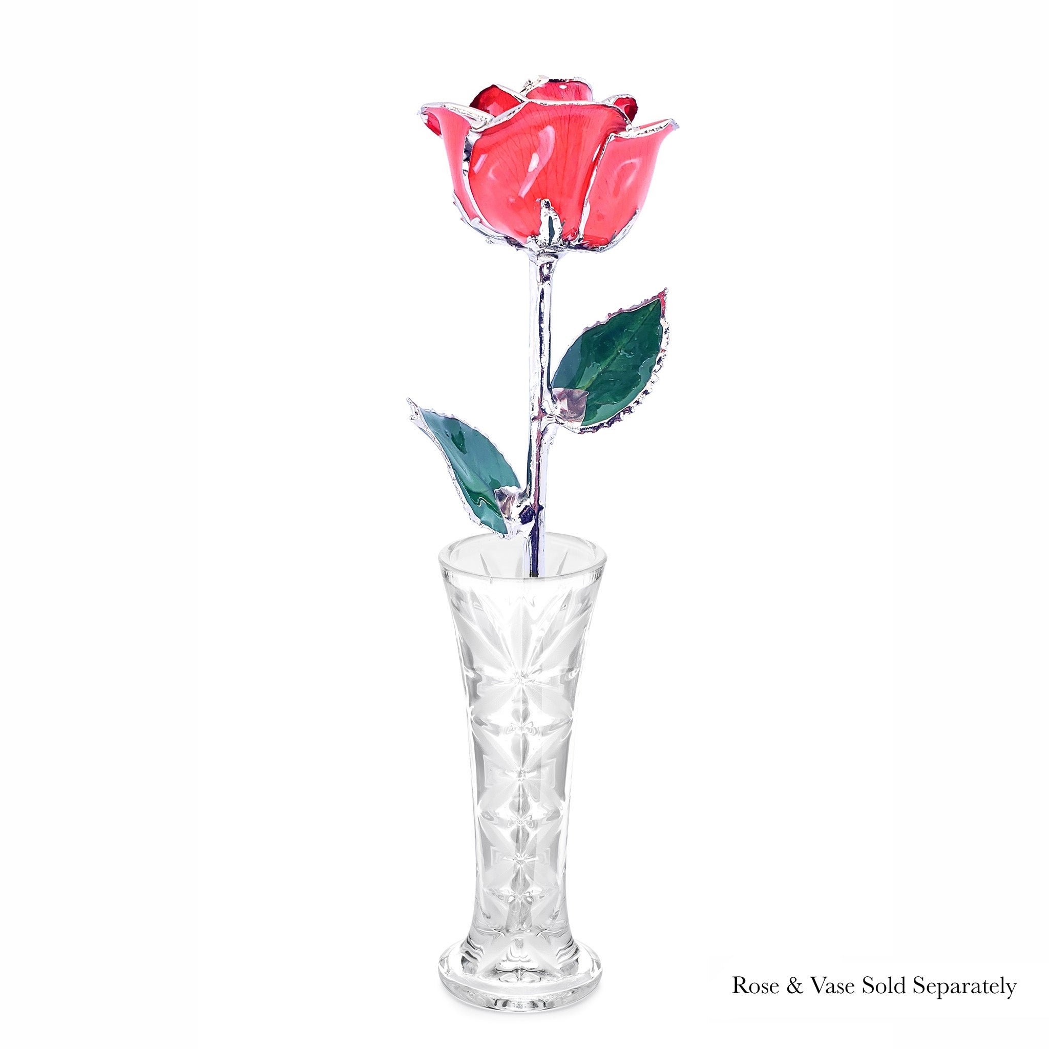 Platinum Forever Rose - Pink