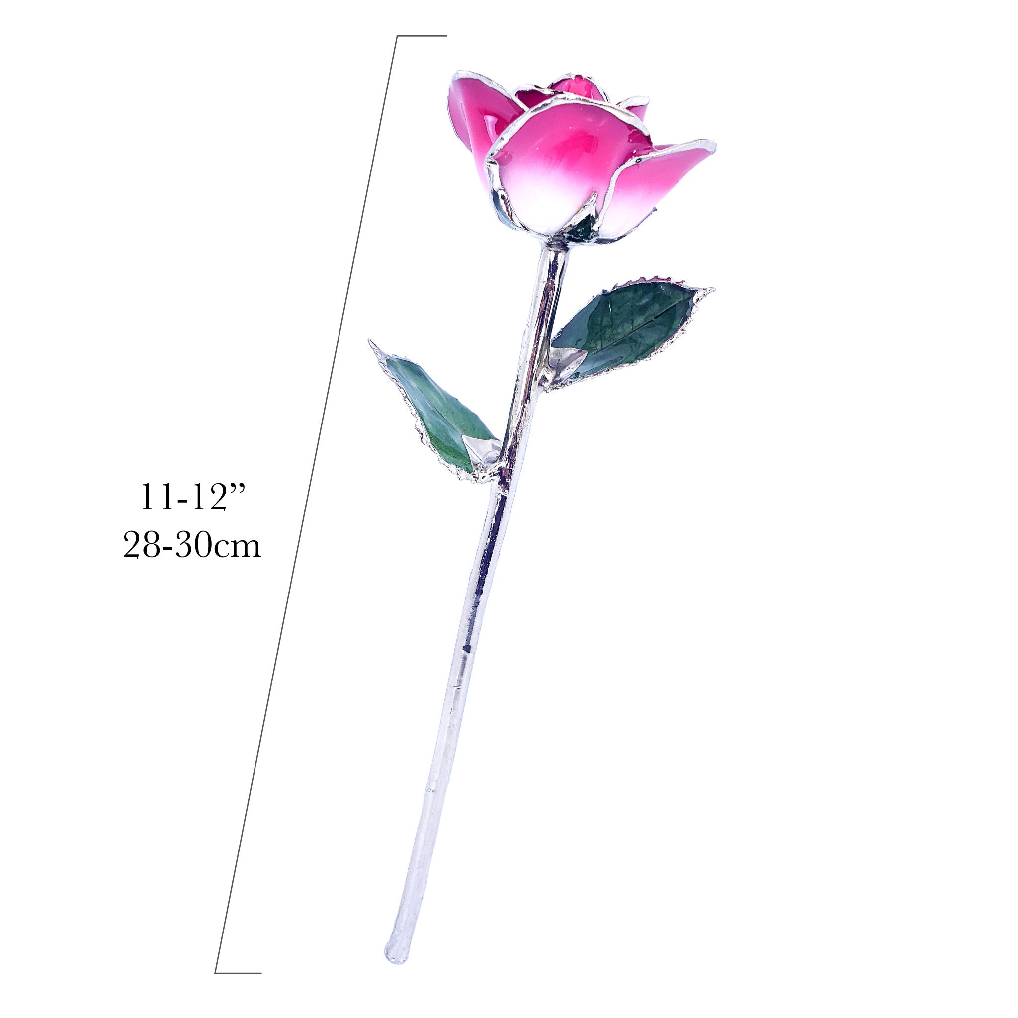 Platinum Forever Rose - Pink 2-Tone