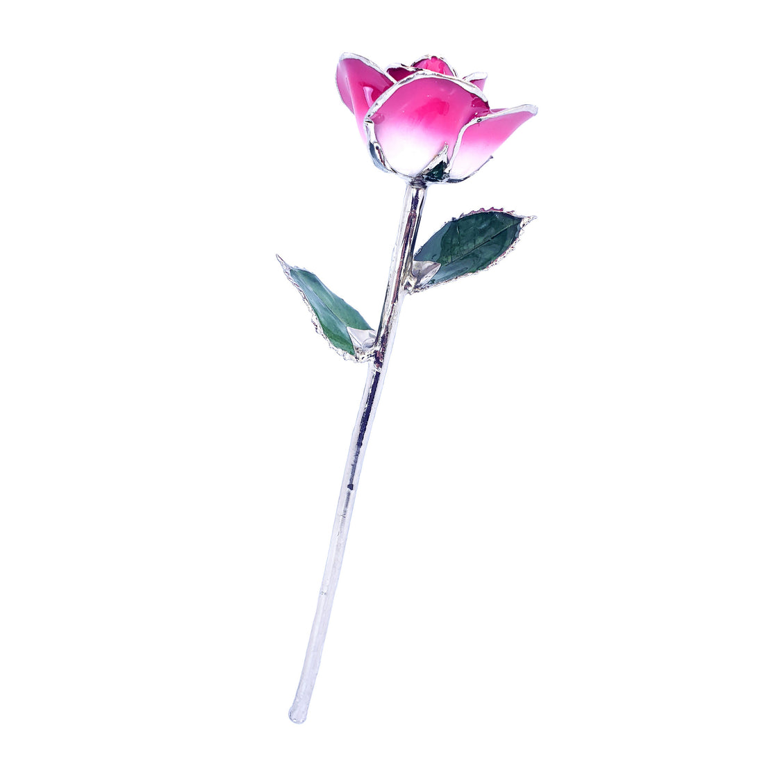Platinum Forever Rose - Pink 2-Tone