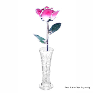 Platinum Forever Rose - Pink 2-Tone