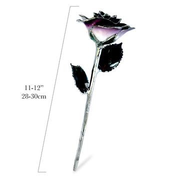 Platinum Forever Rose - Purple 2-Tone