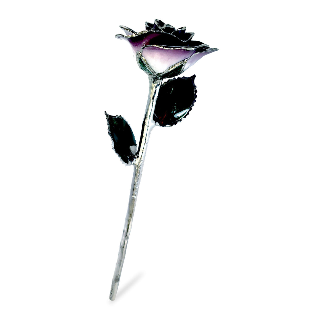 Platinum Forever Rose - Purple 2-Tone