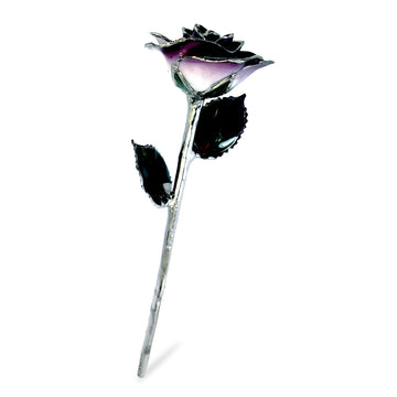 Platinum Forever Rose - Purple 2-Tone