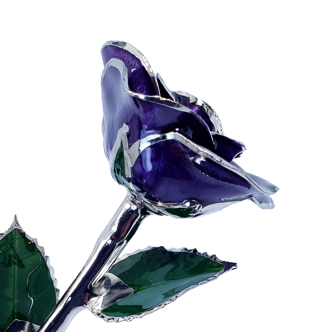 Platinum Forever Rose - Purple