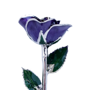 Platinum Forever Rose - Purple