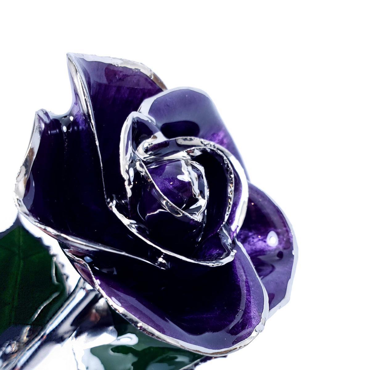Platinum Forever Rose - Purple