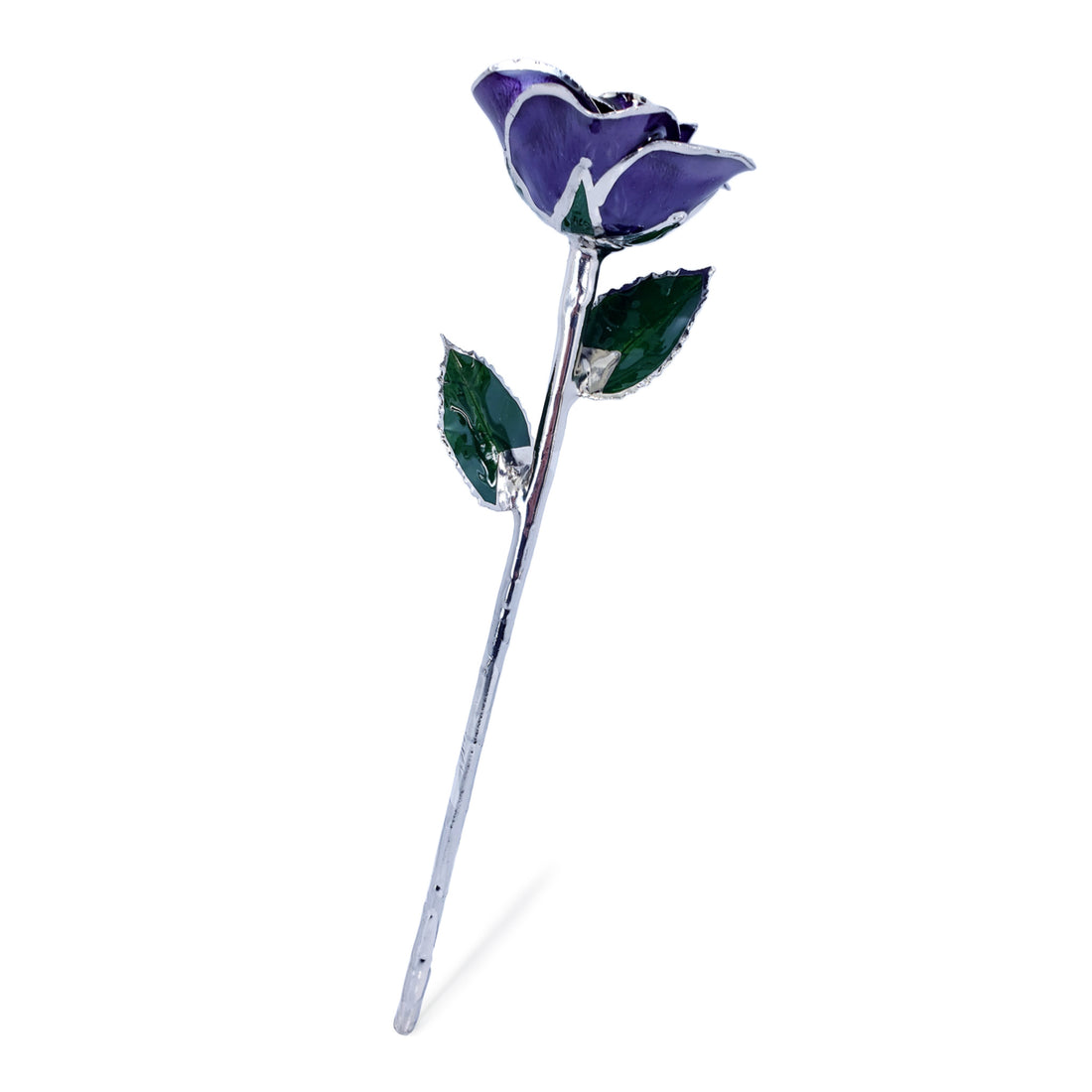 Platinum Forever Rose - Purple