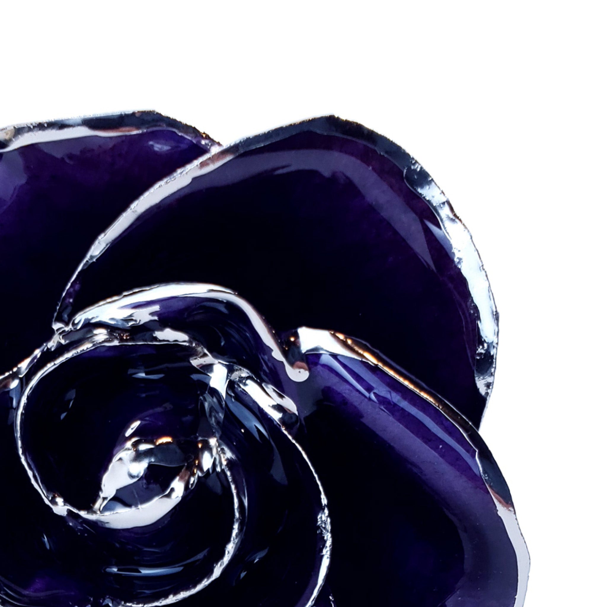 Platinum Forever Rose - Purple