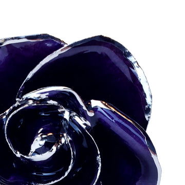 Platinum Forever Rose - Purple
