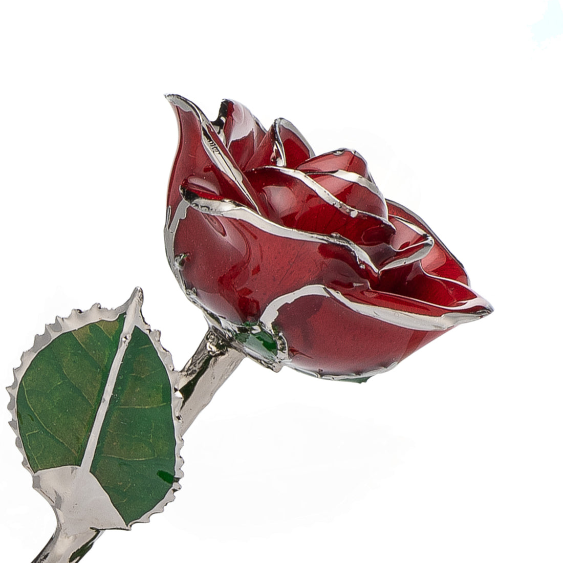 Platinum Forever Rose - Red