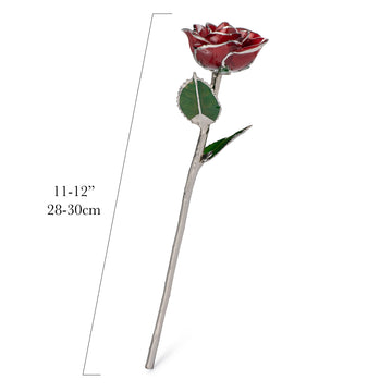 Platinum Forever Rose - Red