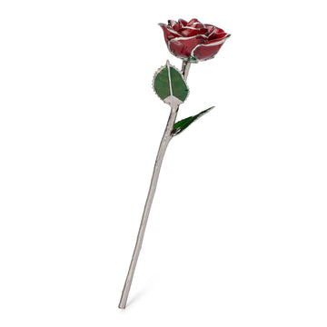 Platinum Forever Rose - Red