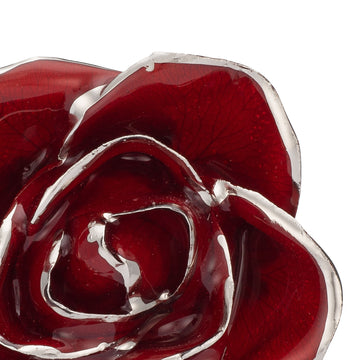 Platinum Forever Rose - Red