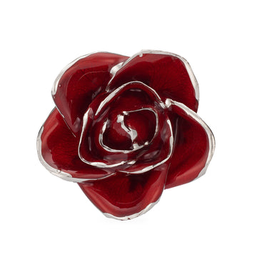 Platinum Forever Rose - Red