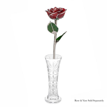 Platinum Forever Rose - Red