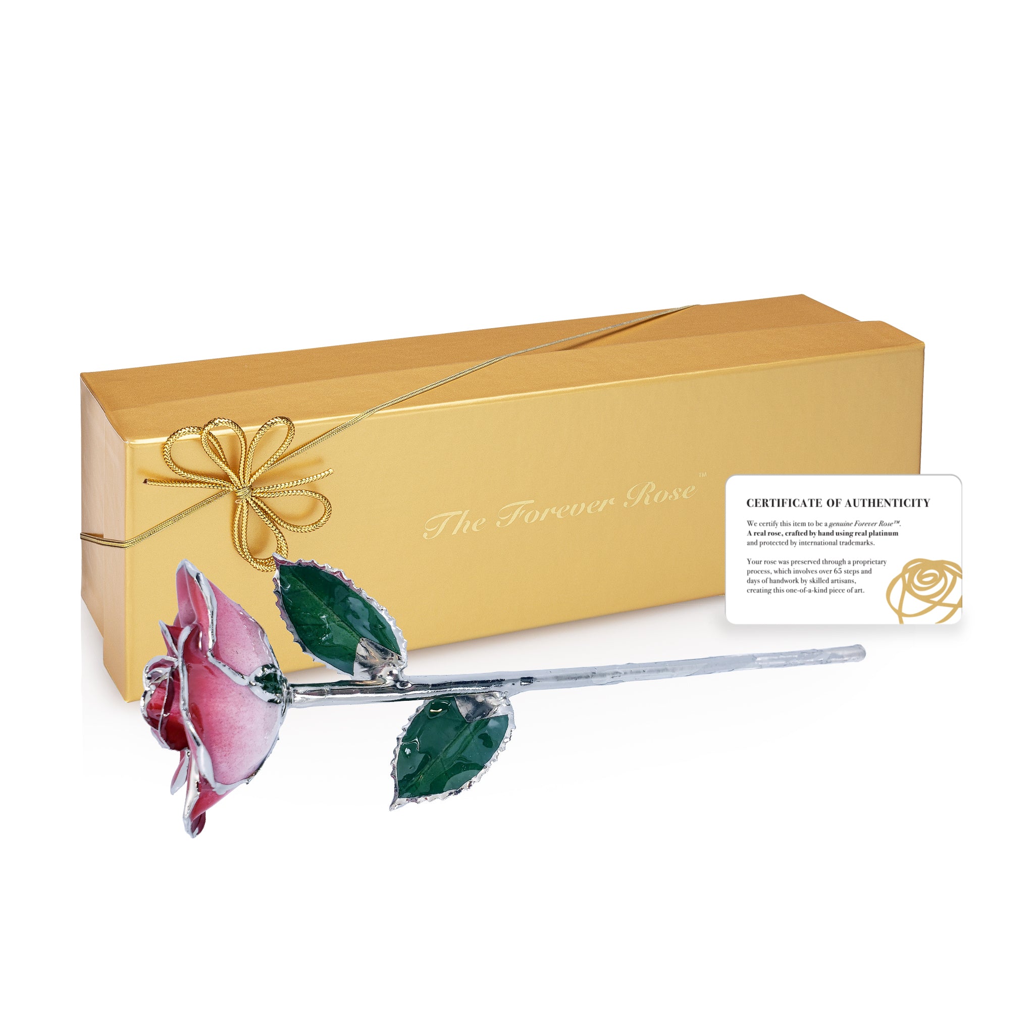 Platinum Forever Rose - Red 2-Tone