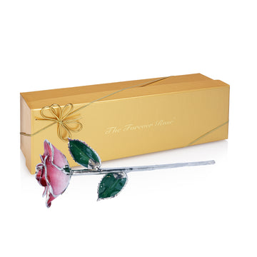 Platinum Forever Rose - Red 2-Tone