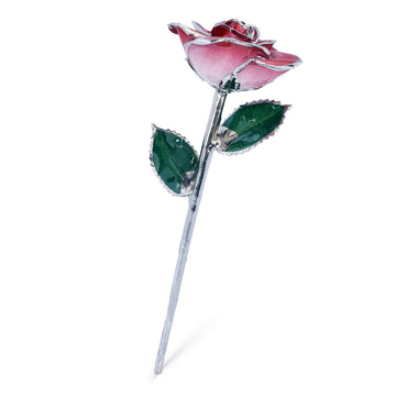 Platinum Forever Rose - Red 2-Tone