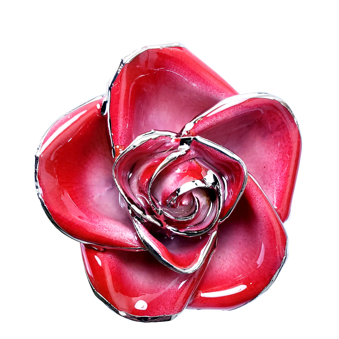 Platinum Forever Rose - Red 2-Tone