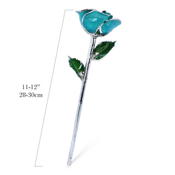Platinum Forever Rose - Serenity Sparkle