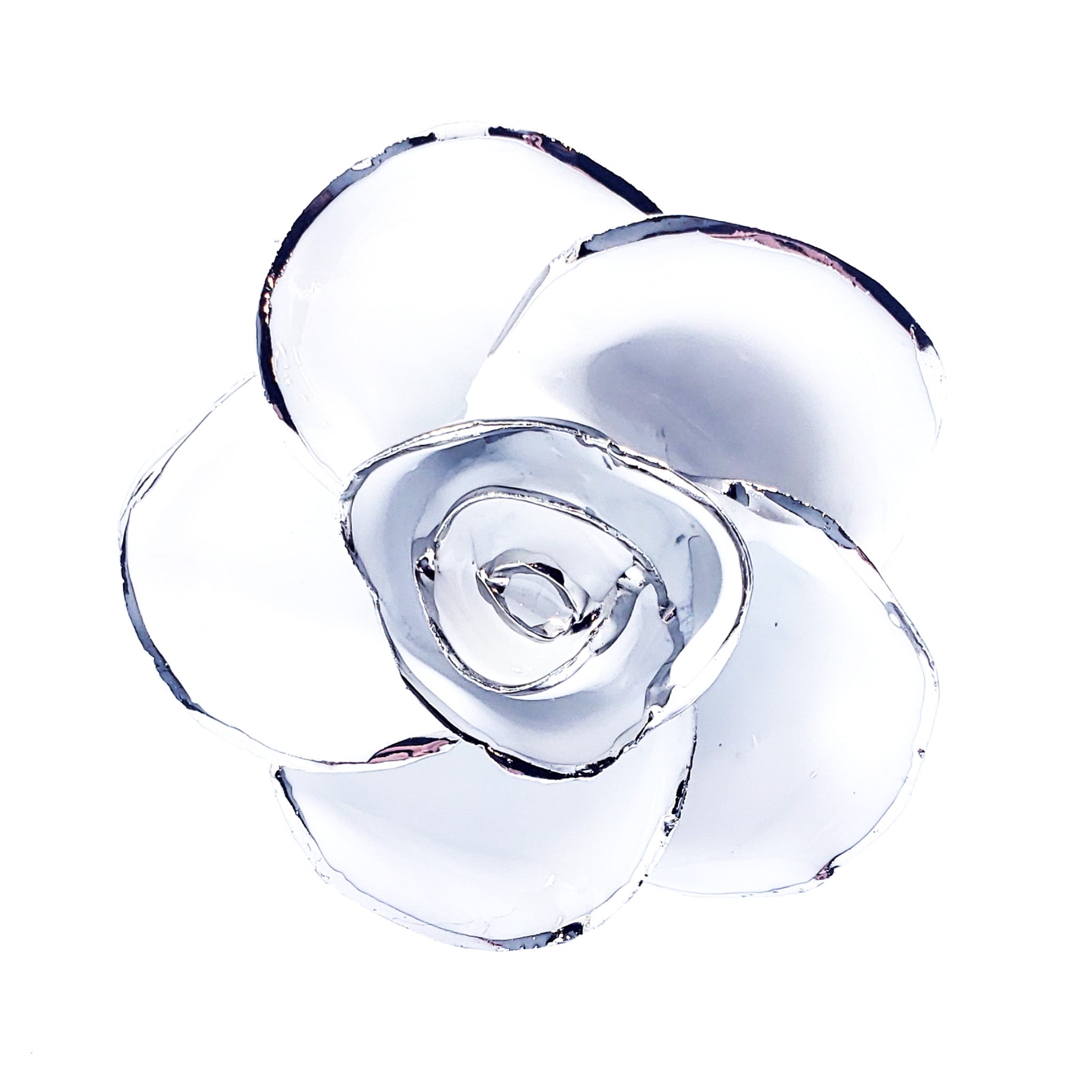 Platinum Forever Rose - Snow White