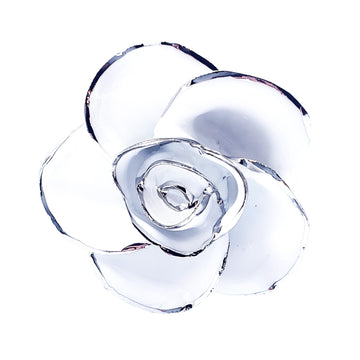 Platinum Forever Rose - Snow White