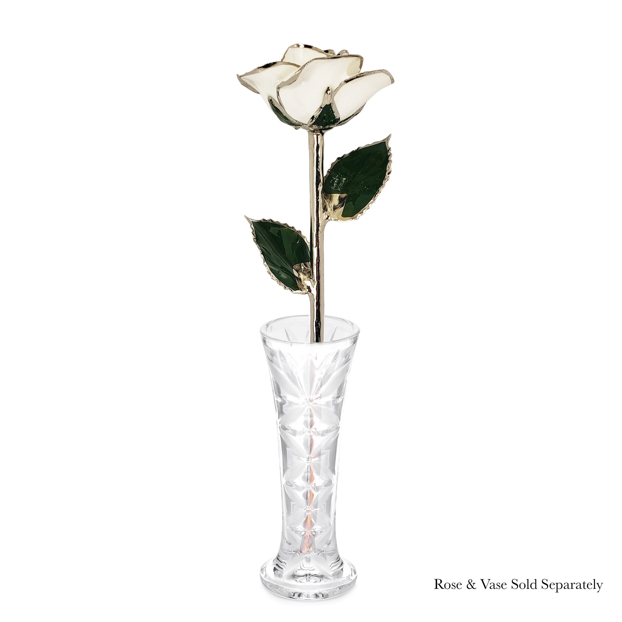 Platinum Forever Rose - Snow White