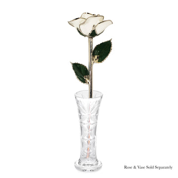 Platinum Forever Rose - Snow White