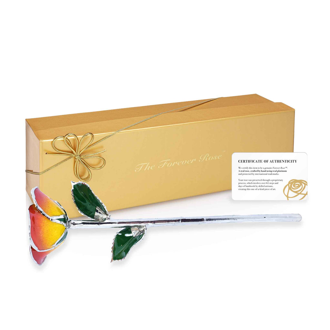 Platinum Forever Rose - Sunrise