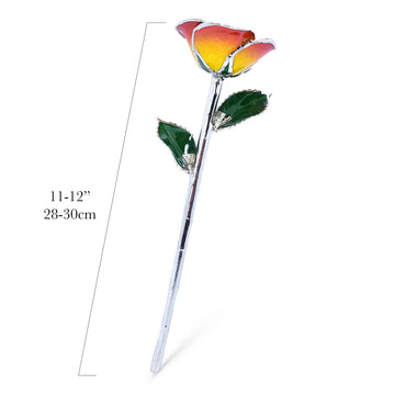 Platinum Forever Rose - Sunrise