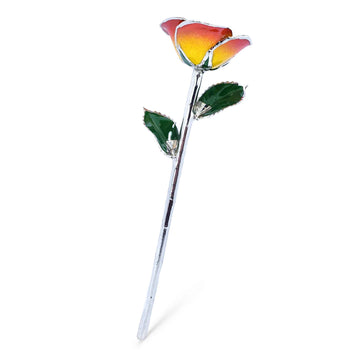 Platinum Forever Rose - Sunrise