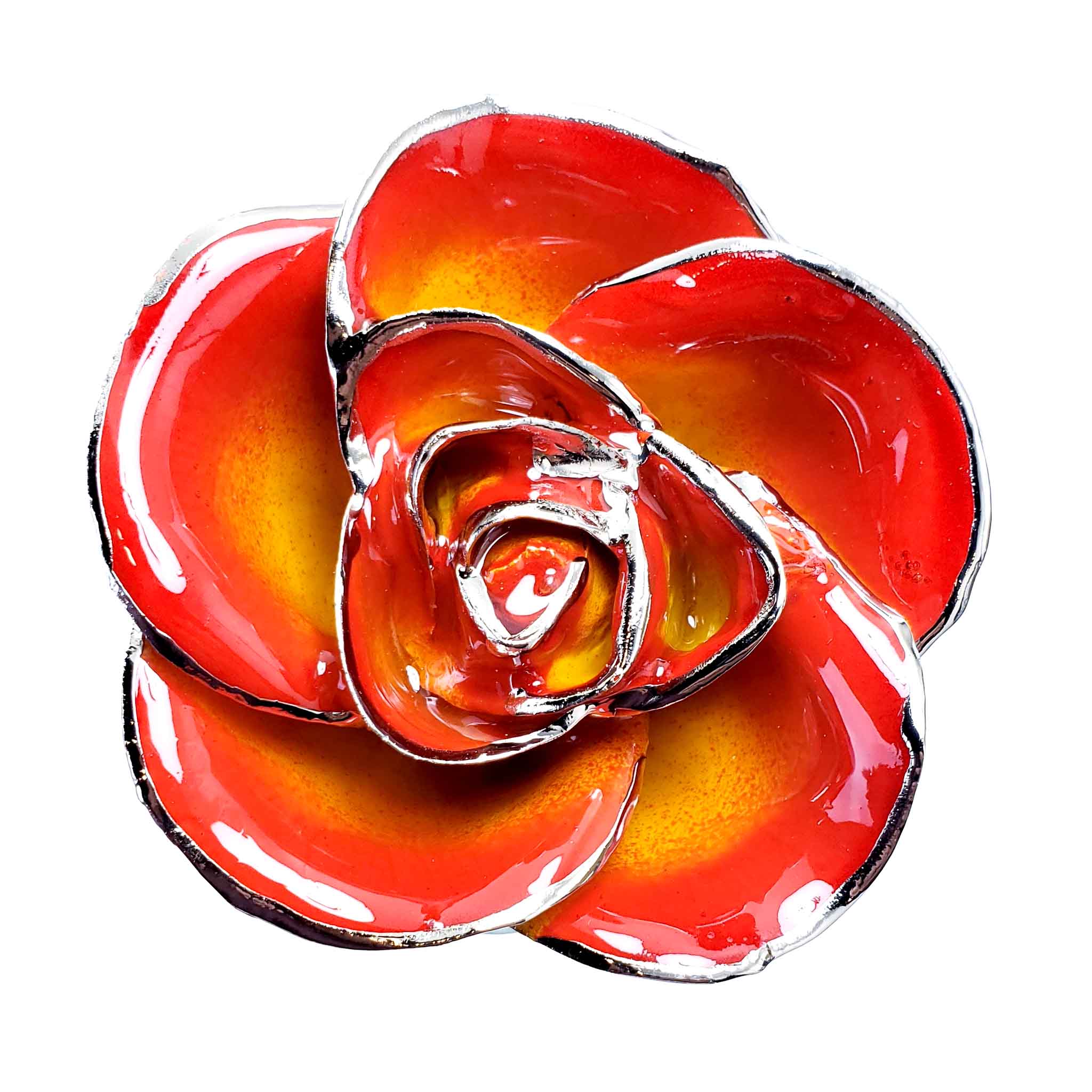 Platinum Forever Rose - Sunrise