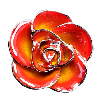 Platinum Forever Rose - Sunrise