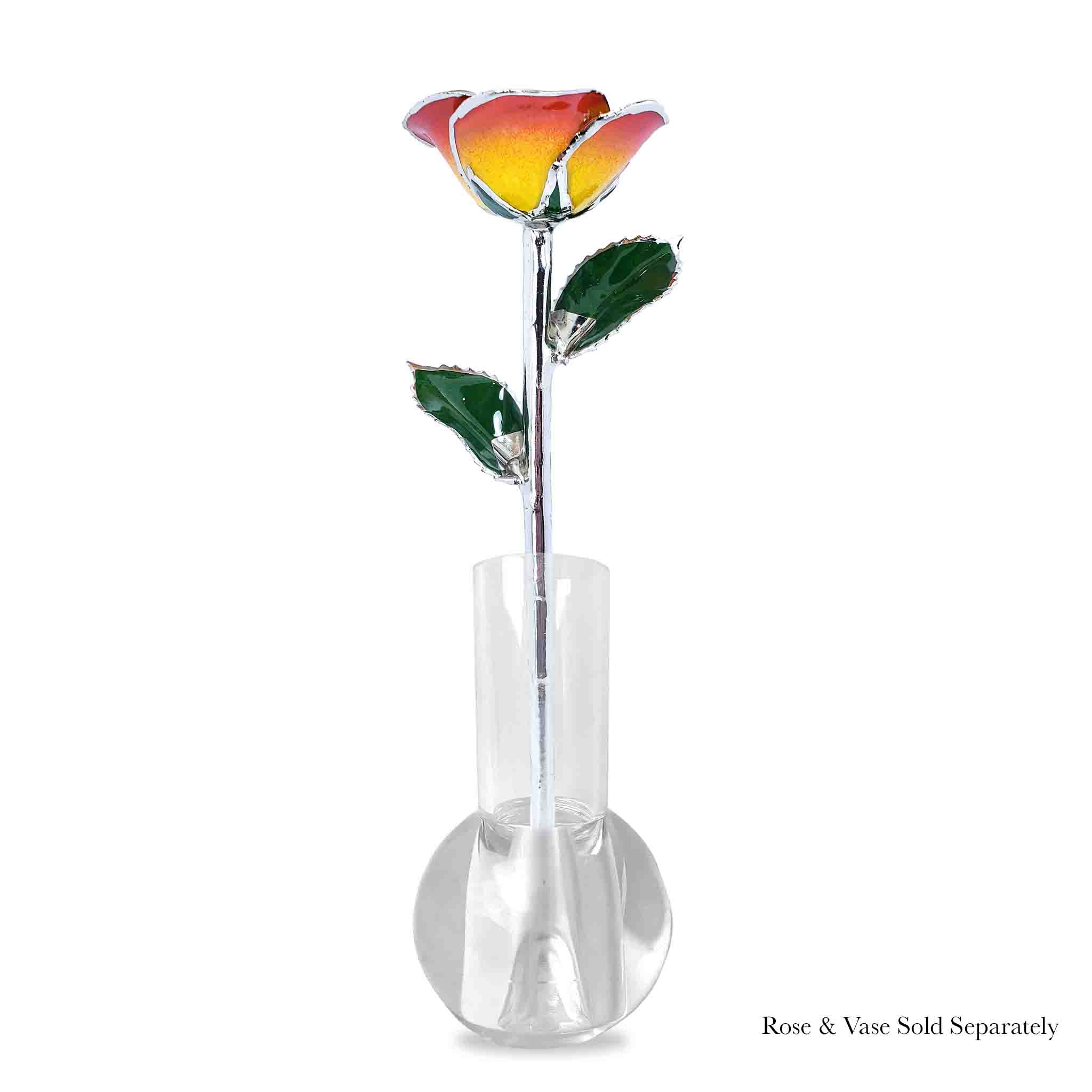 Platinum Forever Rose - Sunrise