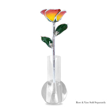 Platinum Forever Rose - Sunrise