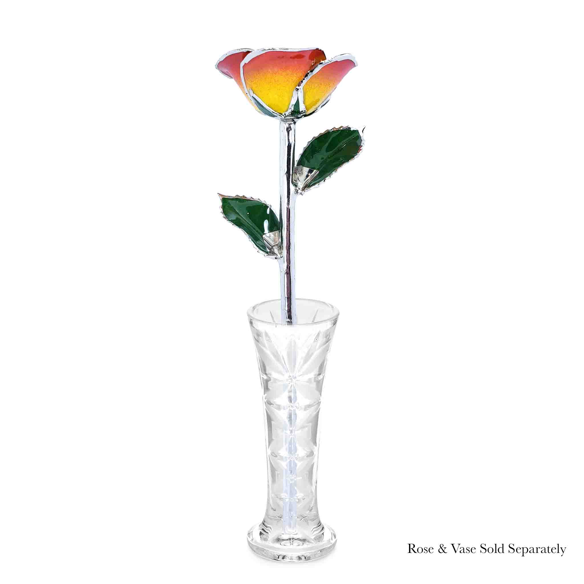 Platinum Forever Rose - Sunrise