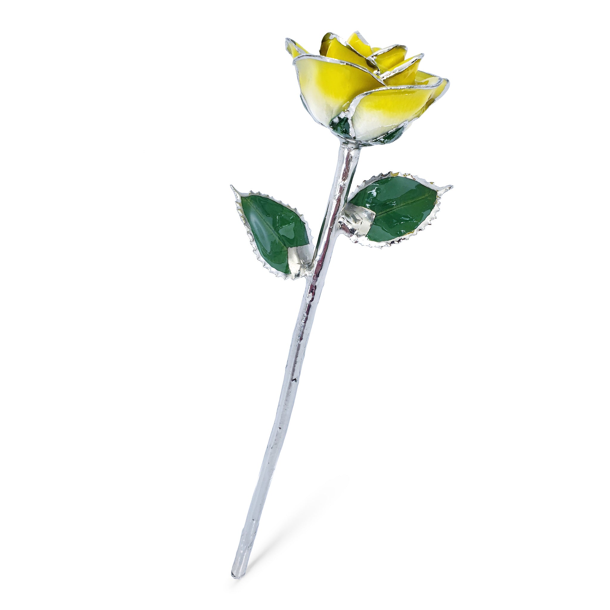Platinum Forever Rose - Sunny Day