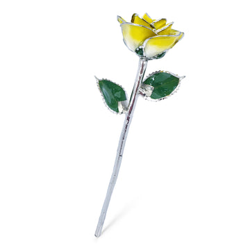 Platinum Forever Rose - Sunny Day