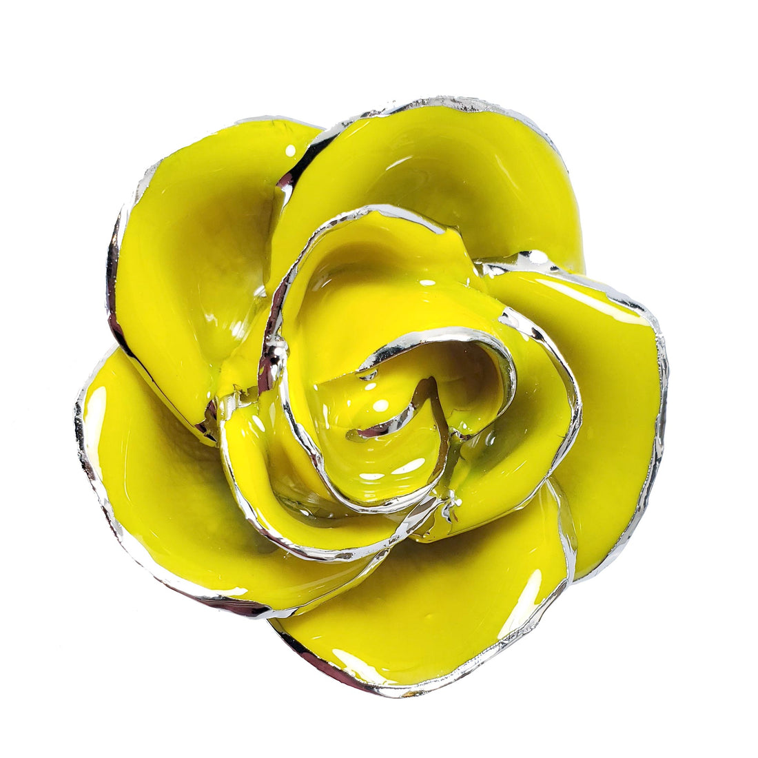 Platinum Forever Rose - Sunny Day