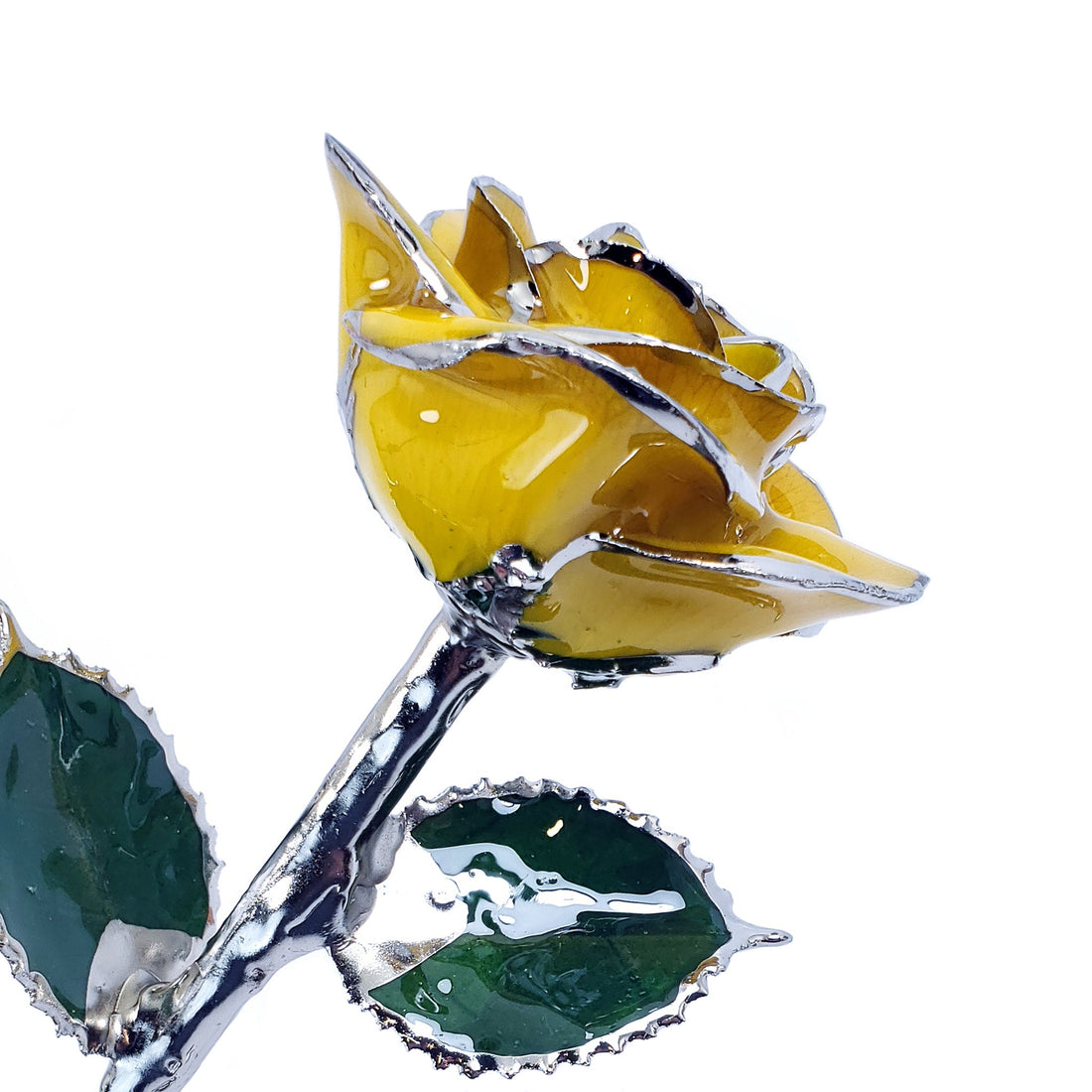 Platinum Forever Rose - Yellow